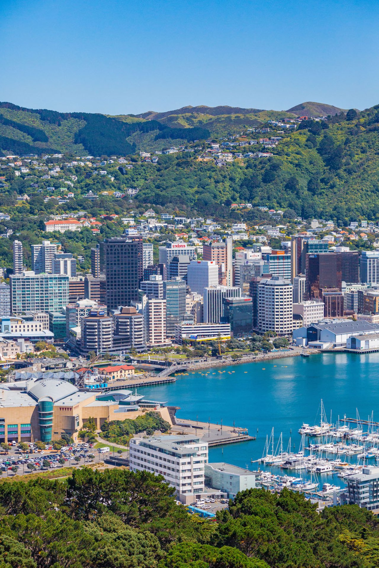 Wellington CBD View From Mt Vic.